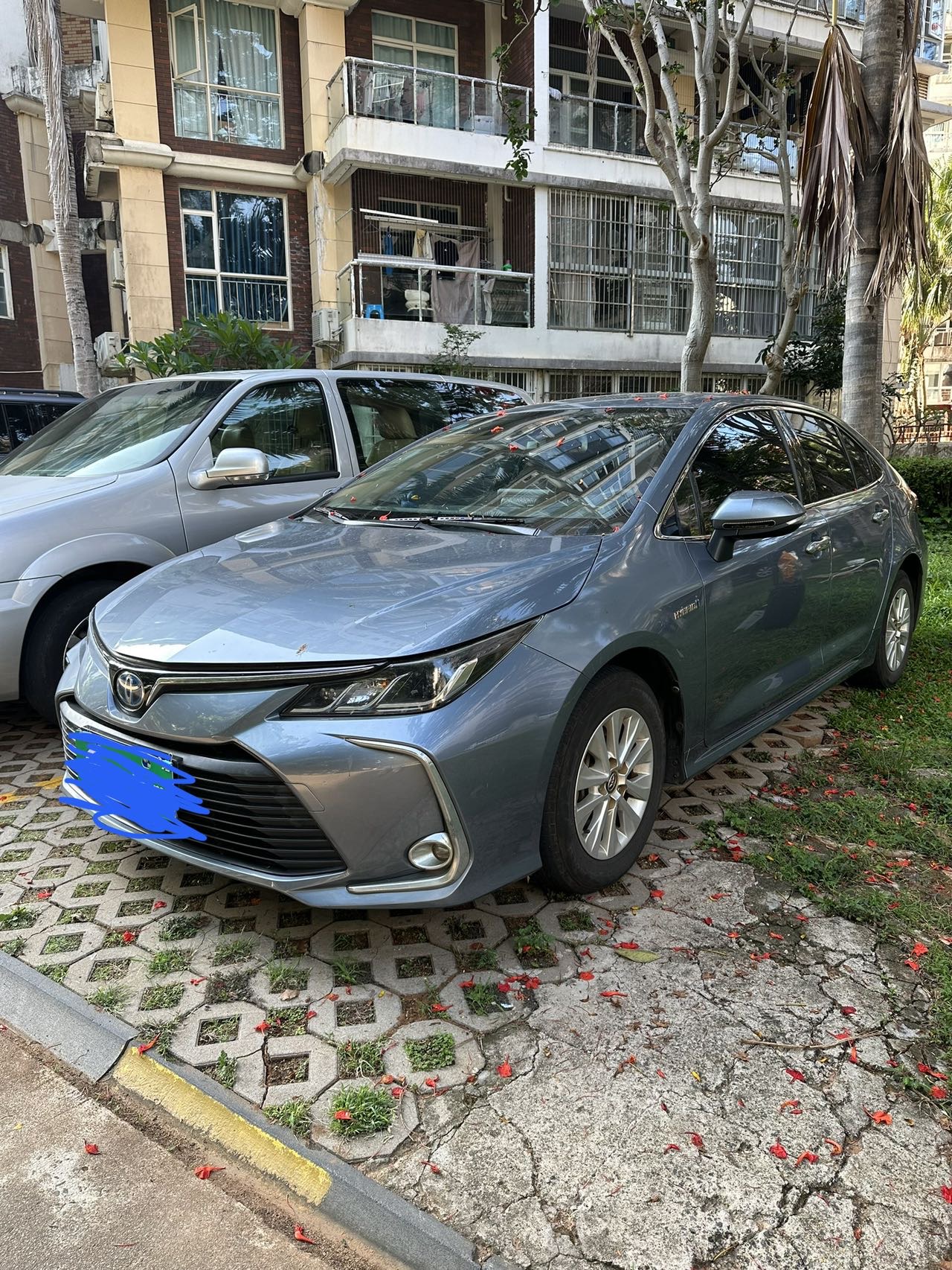 Toyota Corolla 2020 car image 