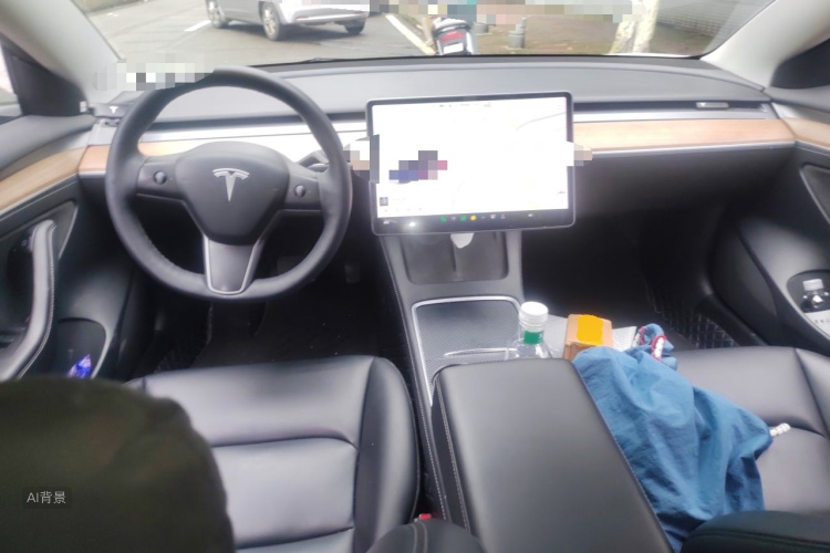 Tesla Model 3 2021 car image #11