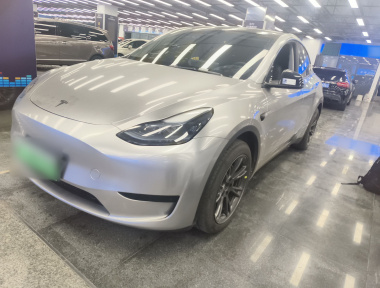Tesla Model Y 2024 car image 
