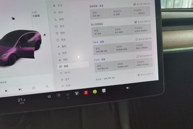 Tesla Model Y 2021 #12 Tesla Model Y 2021 car image #12