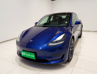 Tesla Model 3 2020 Tesla Model 3 2020 car image