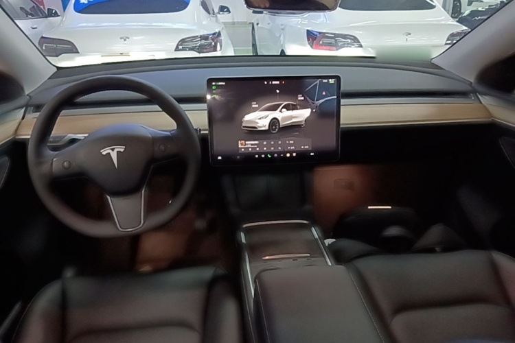 Tesla Model Y 2023 #10 Tesla Model Y 2023 car image #10