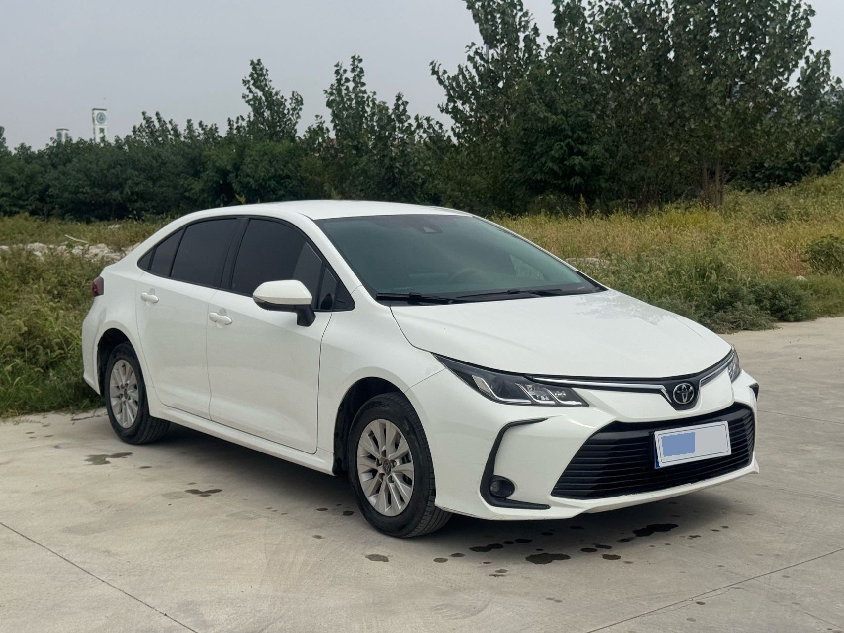 Toyota Corolla 2023 #3 Toyota Corolla 2023 car image #3