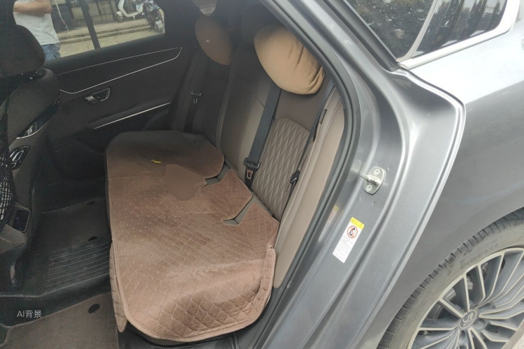BYD Han 2022 car image #19