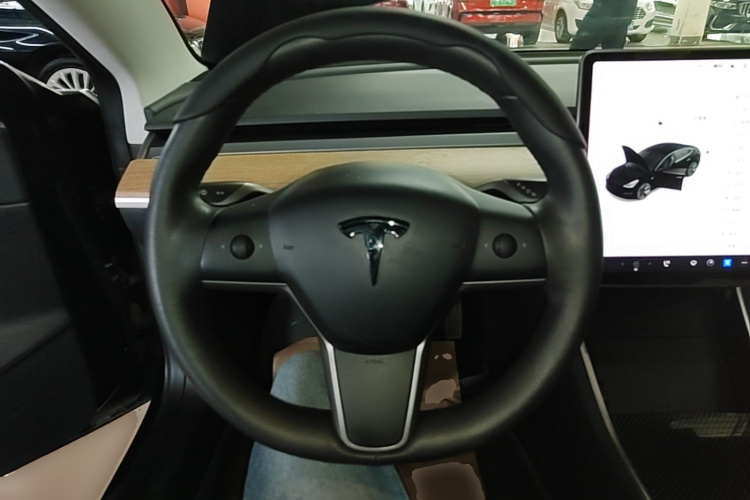 Tesla Model 3 2020 car image #11