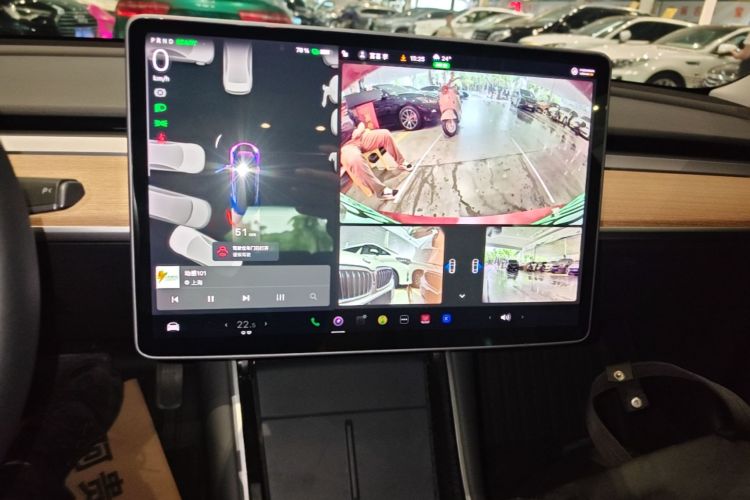 Tesla Model 3 2020 car image #13