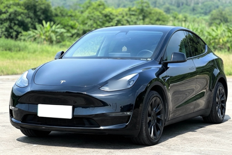 Tesla Model Y 2021 #8 Tesla Model Y 2021 car image #8