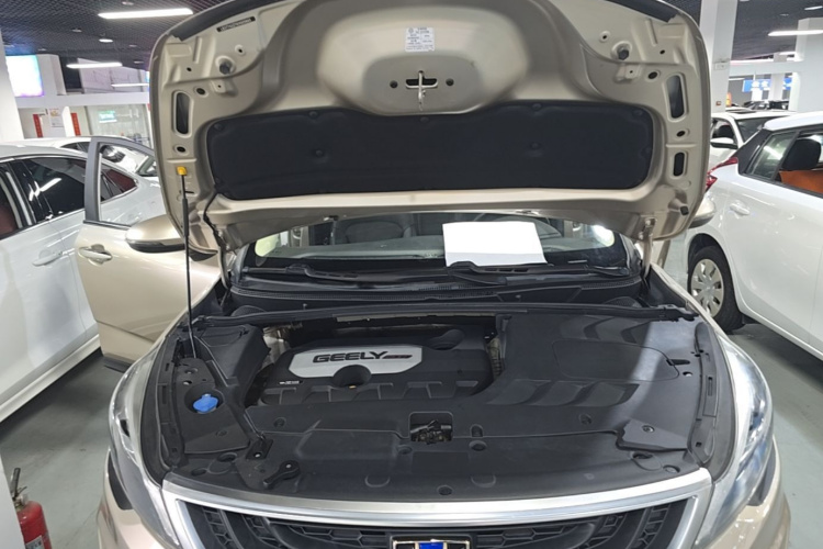 GEELY Emgrand GS 2019 car image #20