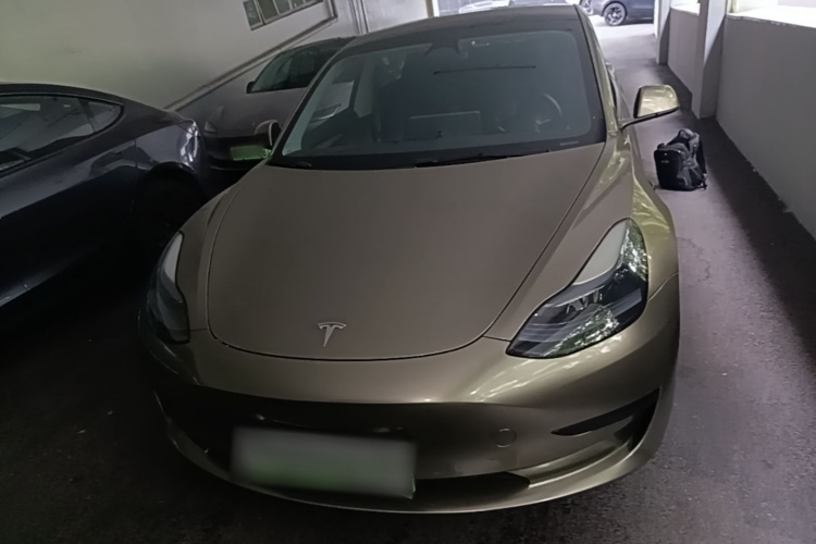 Tesla Model 3 2023 #3 Tesla Model 3 2023 car image #3
