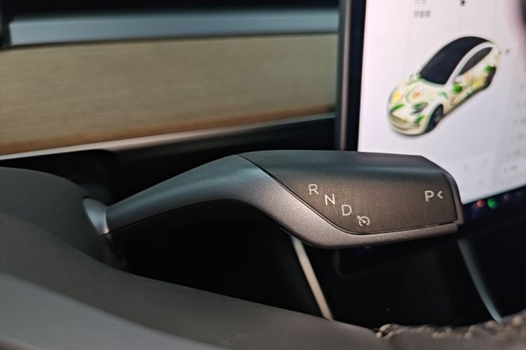 Tesla Model 3 2020 car image #14