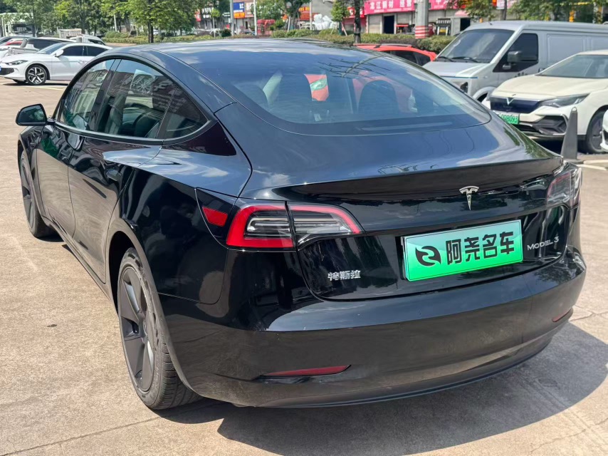Tesla Model 3 2021 immagine di auto #9