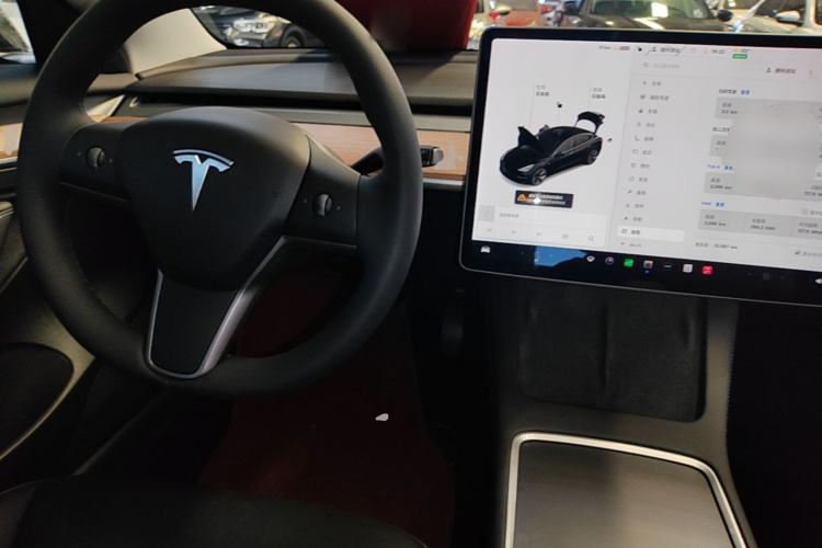 Tesla Model 3 2021 #10 Tesla Model 3 2021 immagine di auto #10