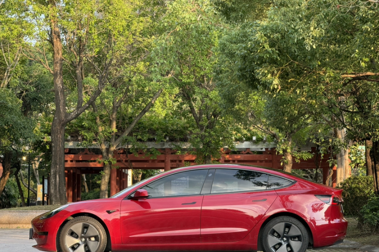 Tesla Model 3 2021 #3 Tesla Model 3 2021 car image #3