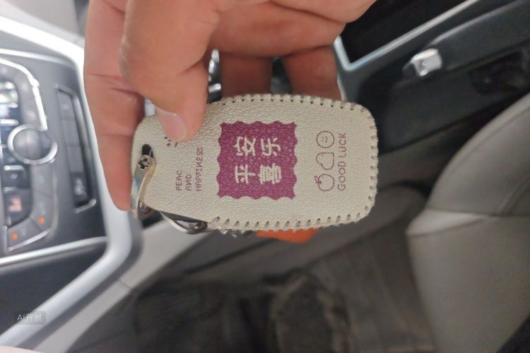 GEELY Emgrand 2016 car image #10