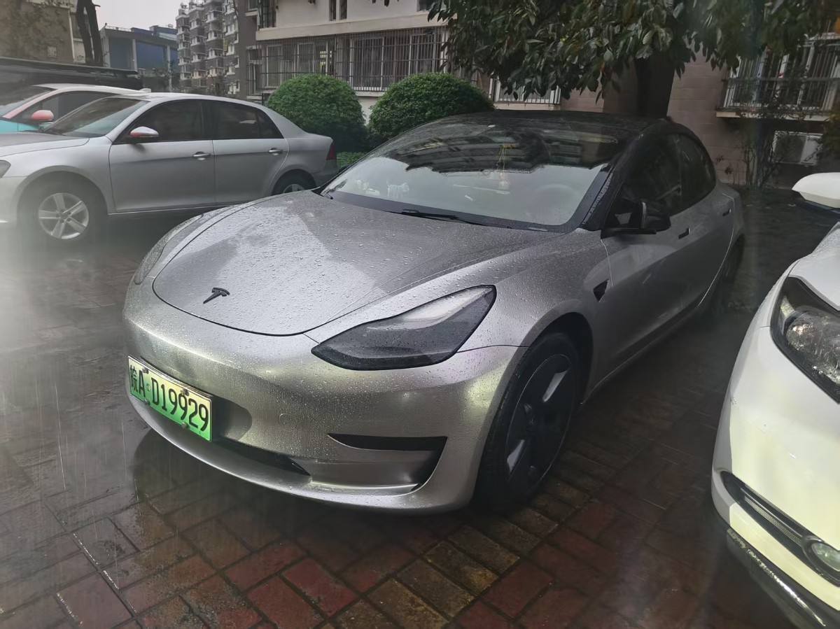 Tesla Model 3 2021 car image 