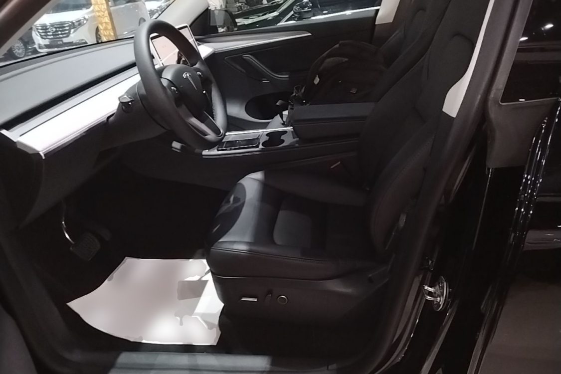 Tesla Model Y 2023 car image #12