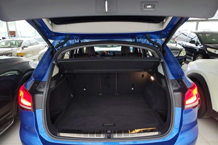 BMW X1 New Energy 2020 car image #19
