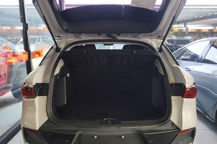 BYD Yuan Plus 2022 car image #21