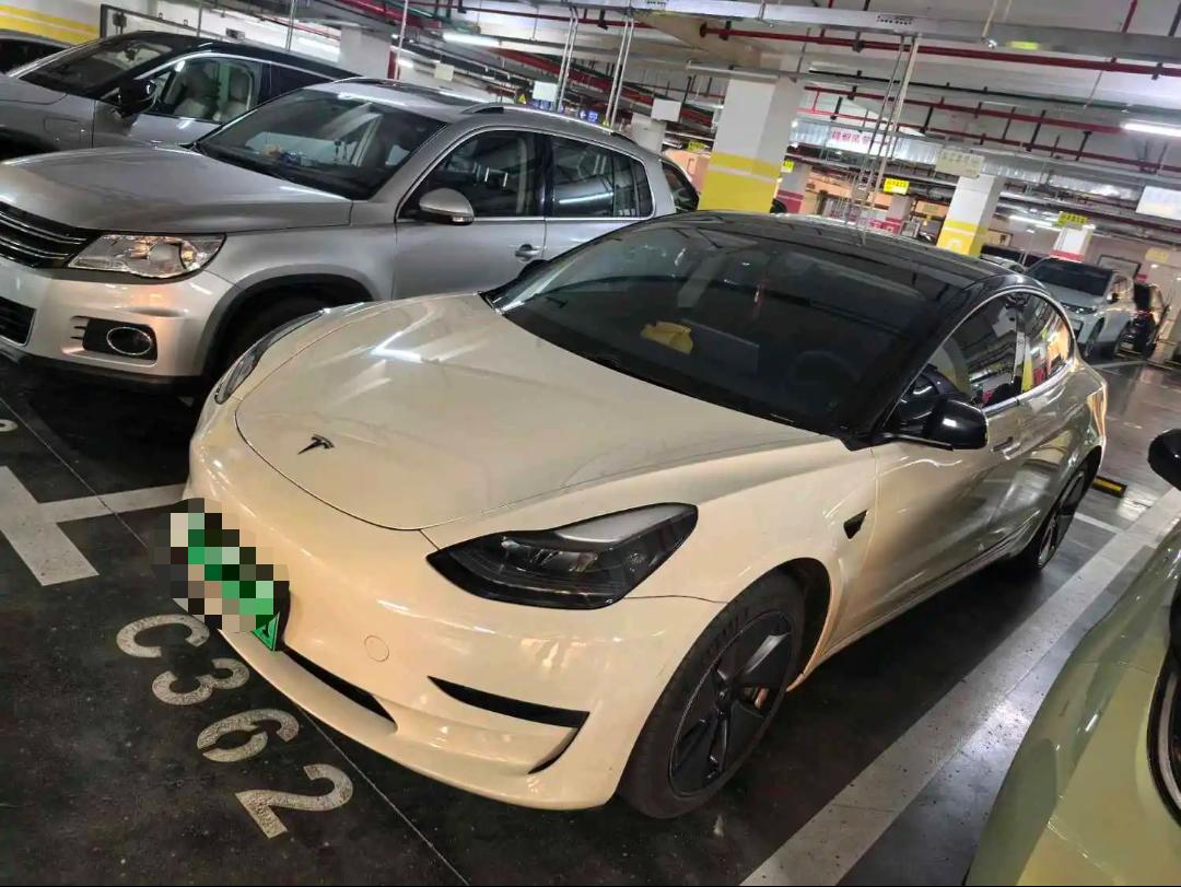 Tesla Model 3 2021 Tesla Model 3 2021 car image