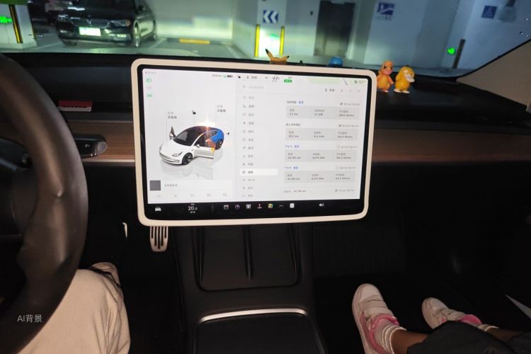Tesla Model 3 2023 car image #15