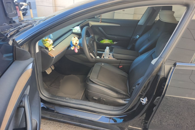Tesla Model 3 2022 car image #16