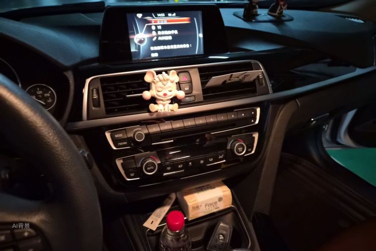 BMW 3 Series 2016 car image #15