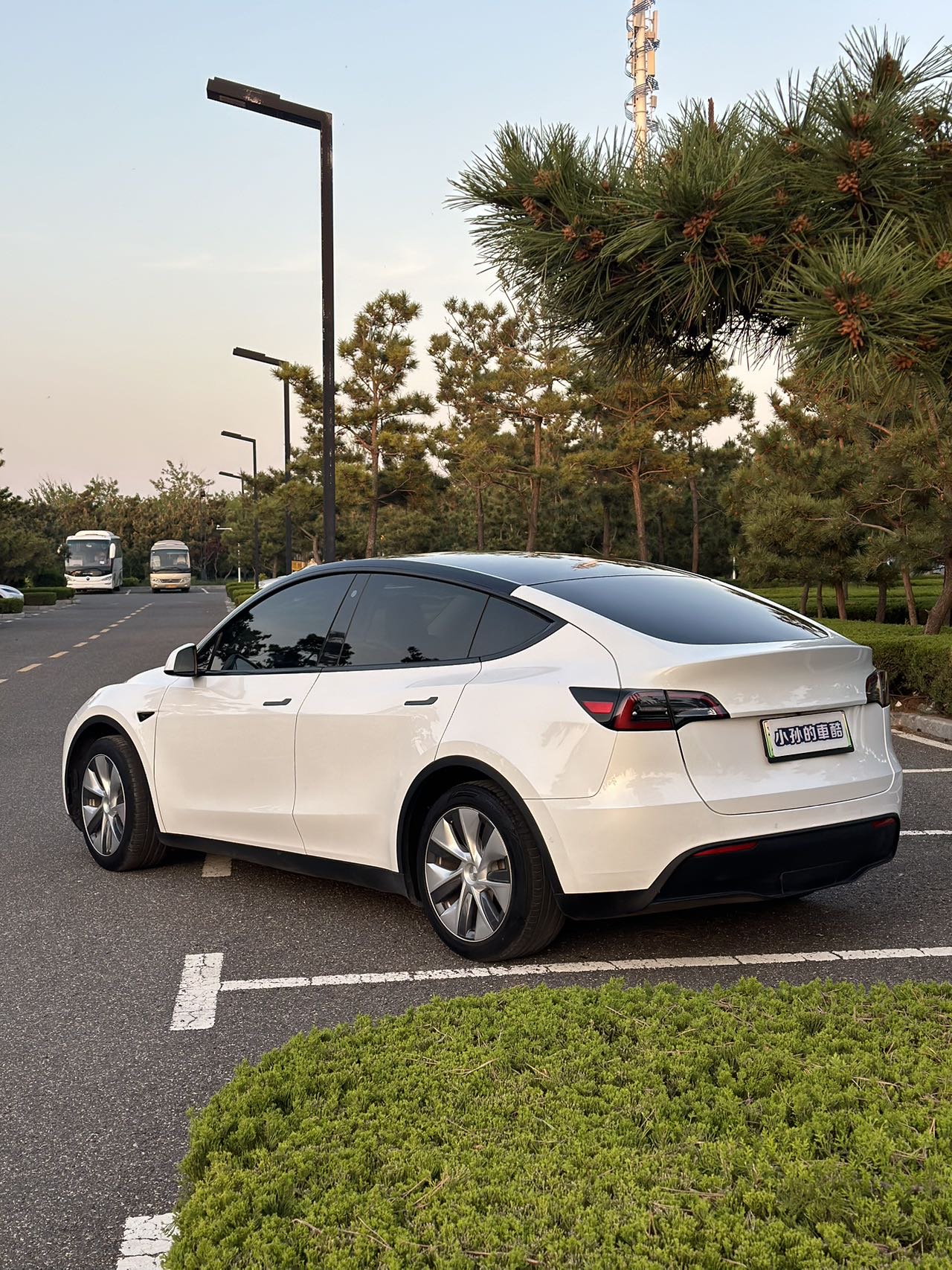 Tesla Model Y 2022 car image #2