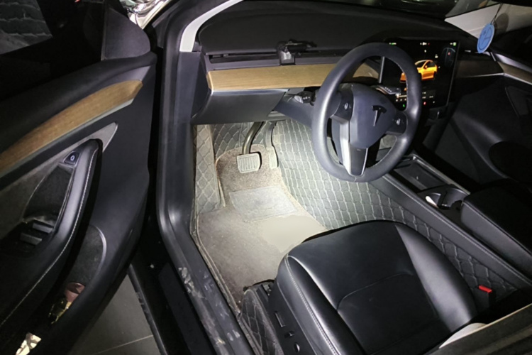 Tesla Model Y 2021 car image #16