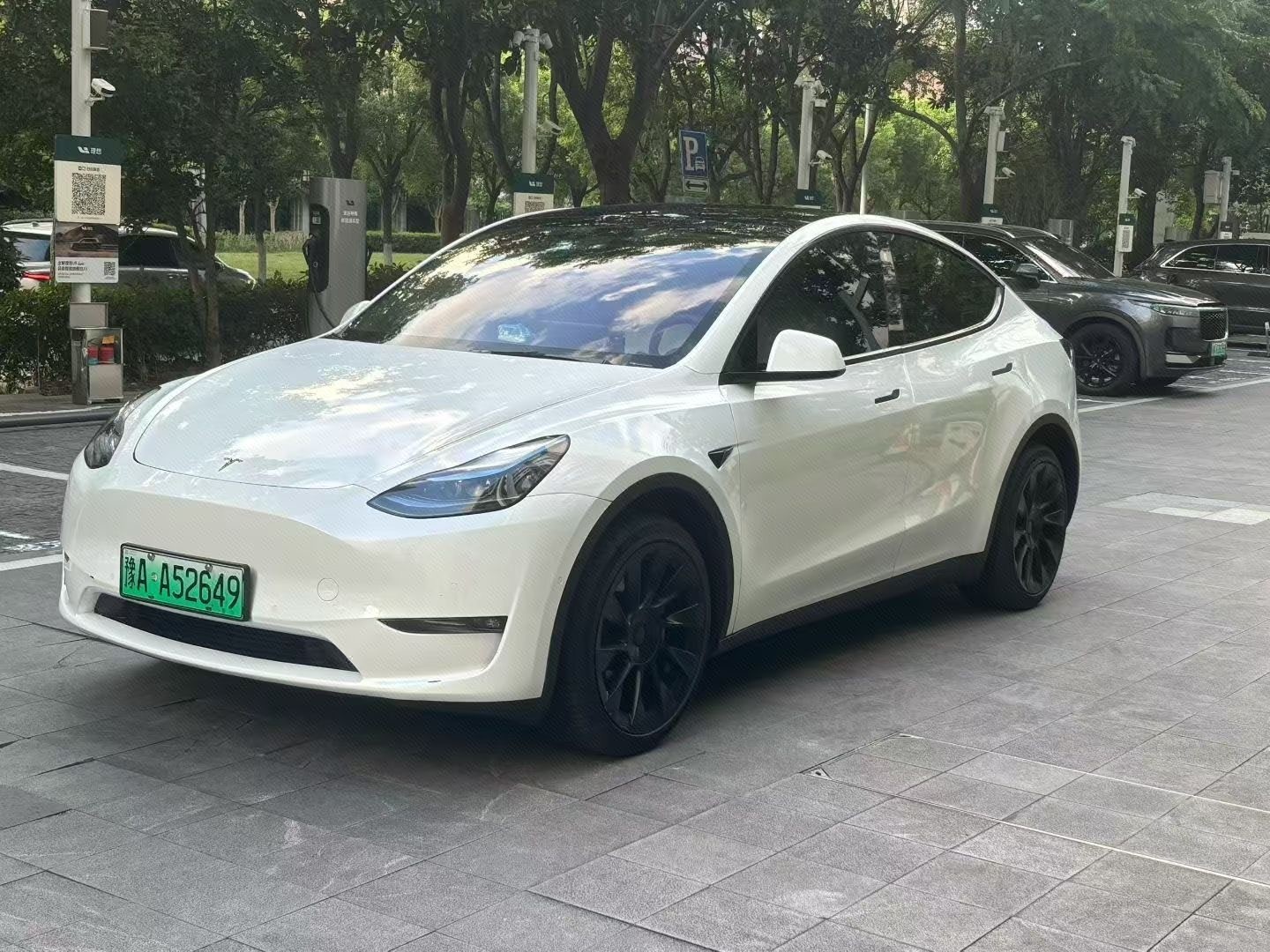 Tesla Model Y 2024 car image 