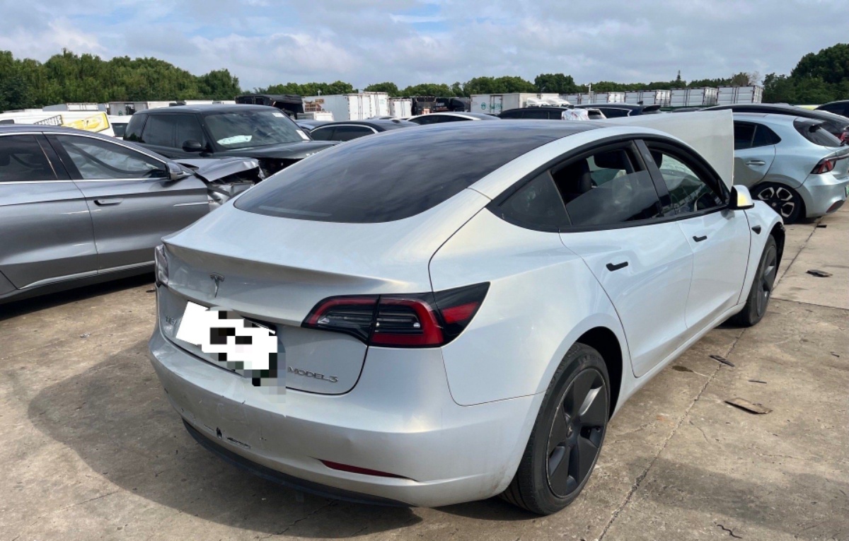 Tesla Model 3 2023 #7 Tesla Model 3 2023 car image #7