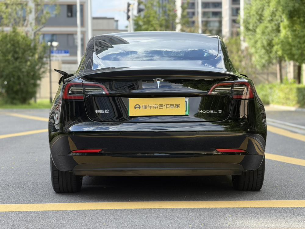 Tesla Model 3 2023 car image #5