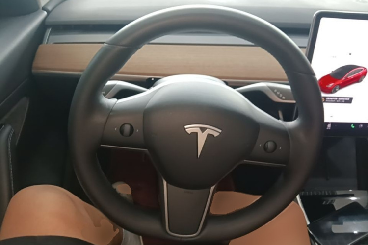 Tesla Model 3 2020 immagine di auto #11