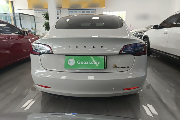 Tesla Model 3 2021 #6 Tesla Model 3 2021 car image #6