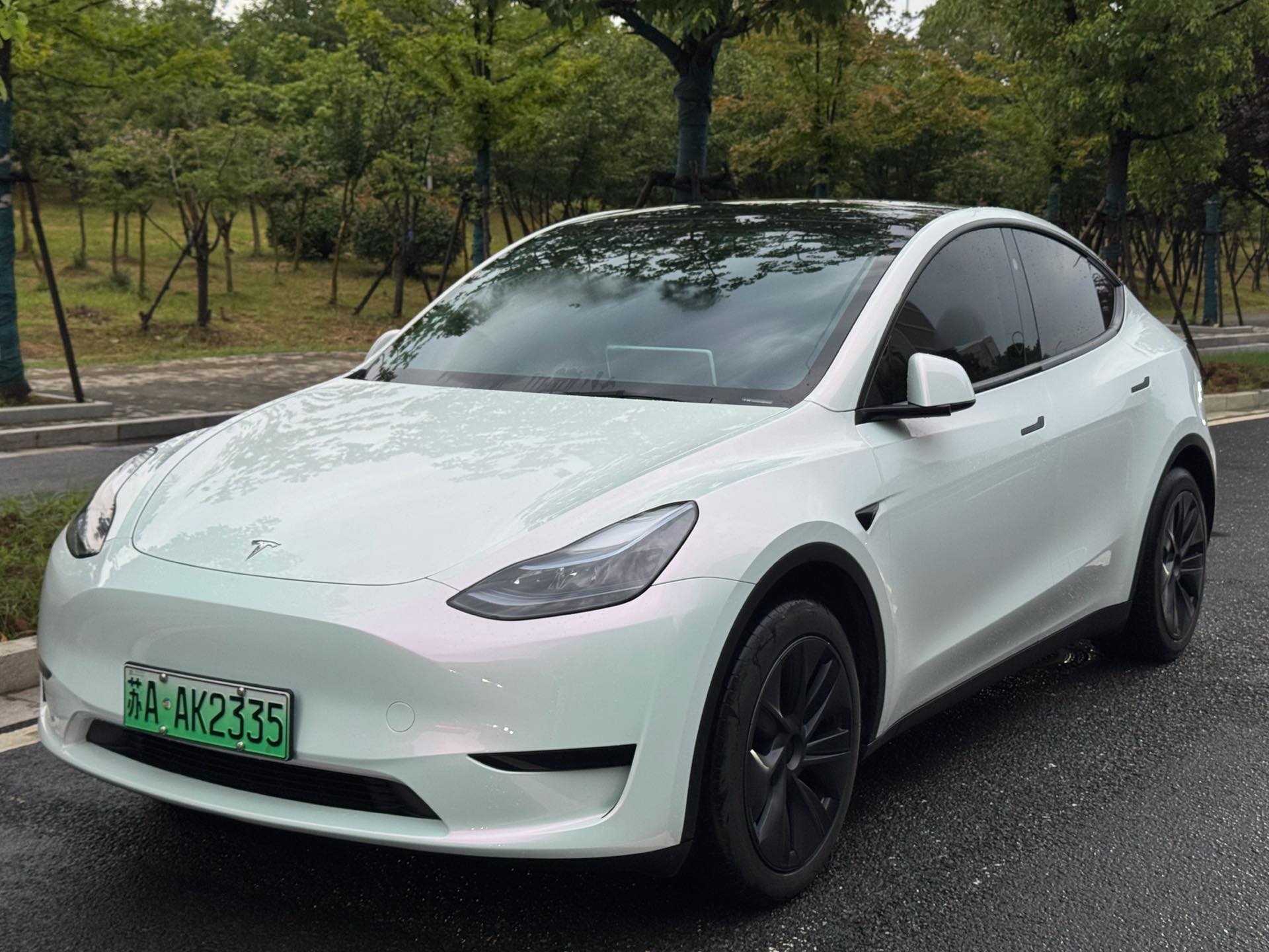 Tesla Model Y 2024 Tesla Model Y 2024 car image