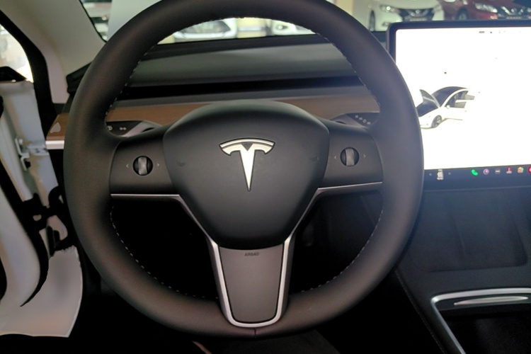 Tesla Model 3 2021 car image #15