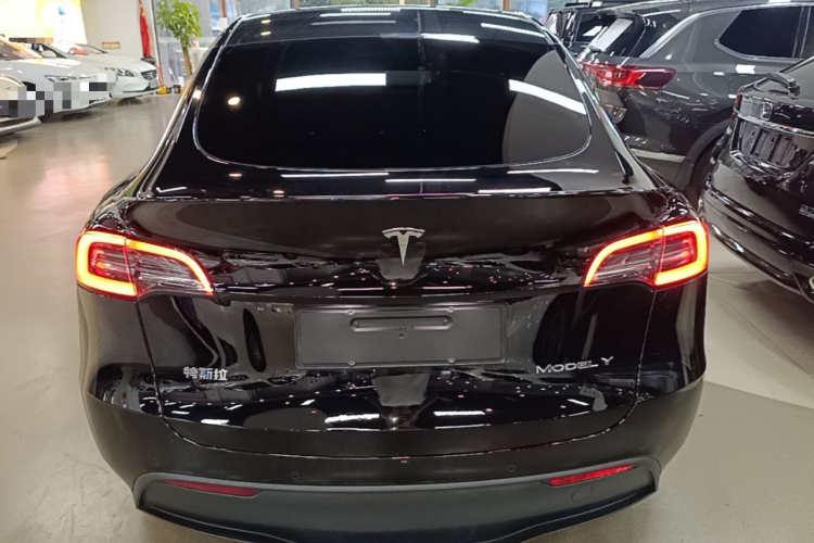 Tesla Model Y 2023 #6 Tesla Model Y 2023 car image #6