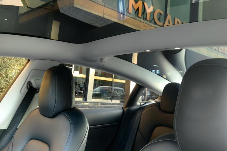 Tesla Model 3 2022 immagine di auto #15