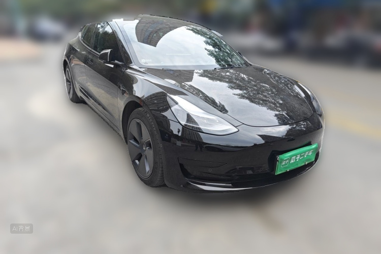 Tesla Model 3 2022 car image #4