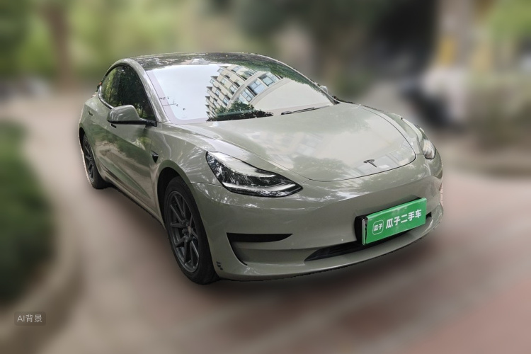 Tesla Model 3 2020 car image #4