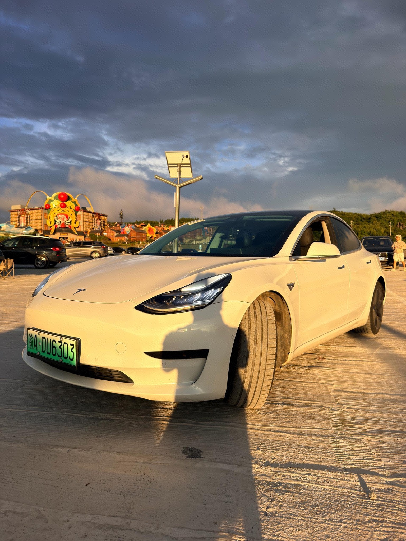 Tesla Model 3 2020 Tesla Model 3 2020 car image
