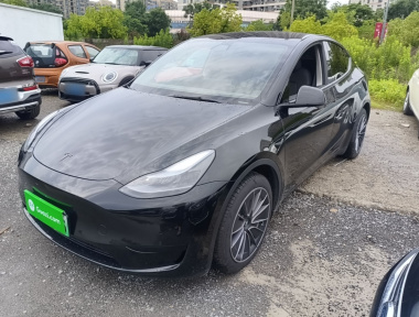 Tesla Model Y 2023 car image 