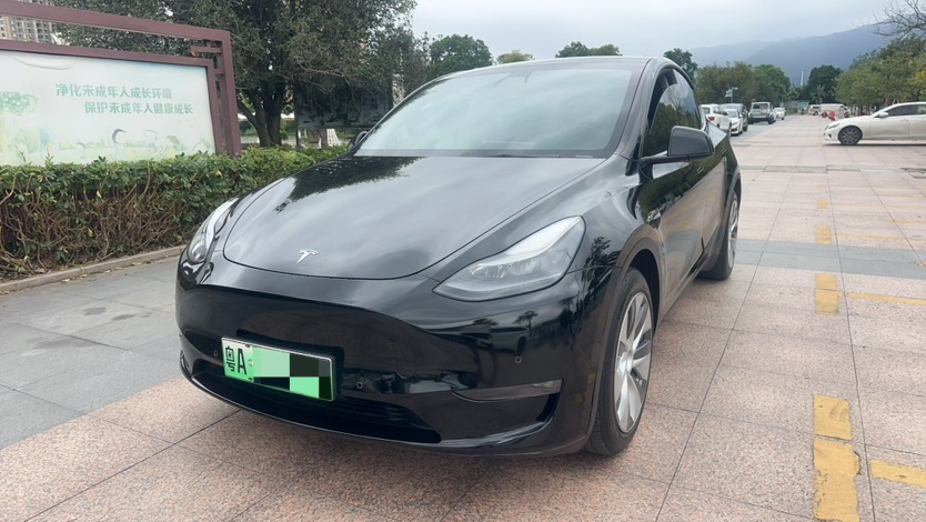 Tesla Model Y 2021 Tesla Model Y 2021 car image