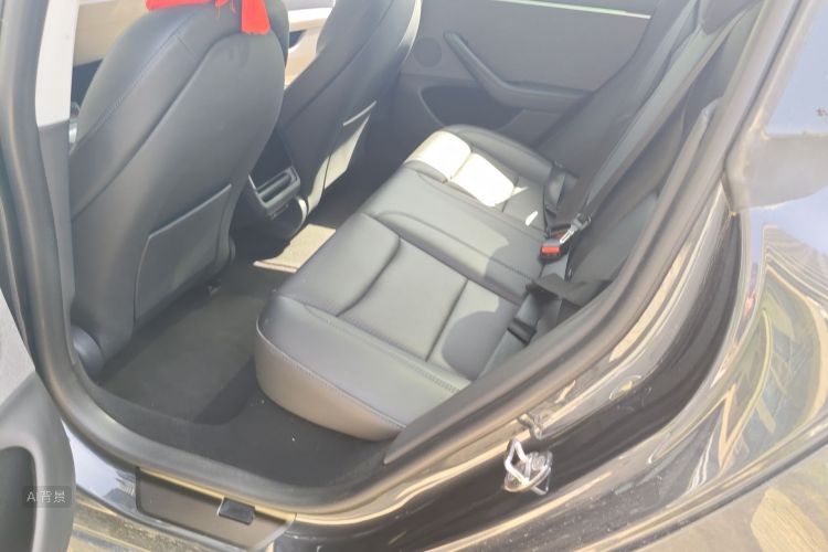 Tesla Model 3 2023 imagem de carro #19