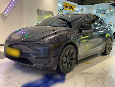 Tesla Model Y 2024 Tesla Model Y 2024 car image