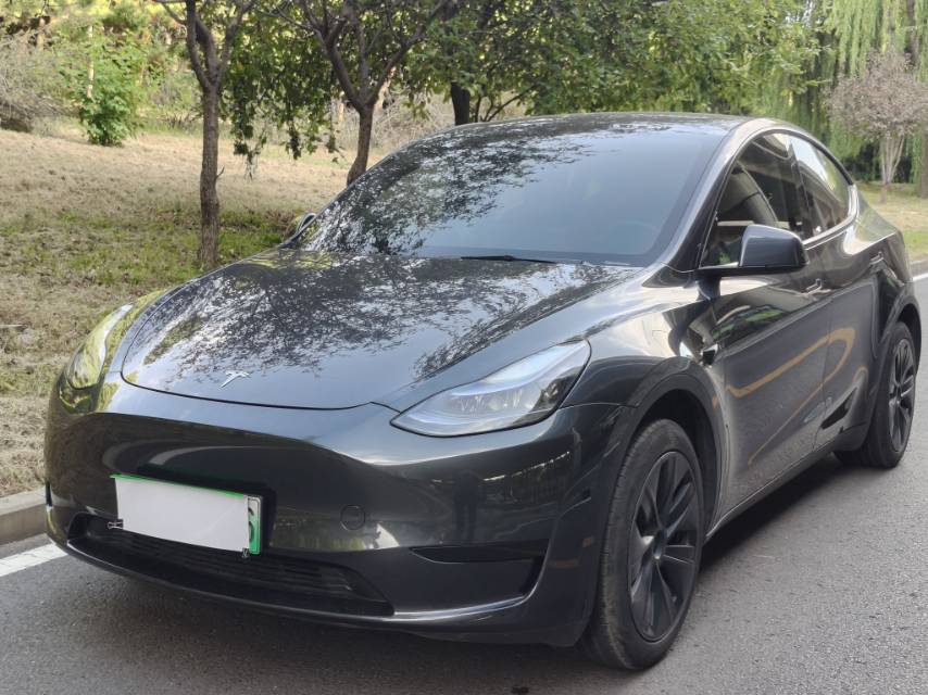 Tesla Model Y 2024 Tesla Model Y 2024 car image