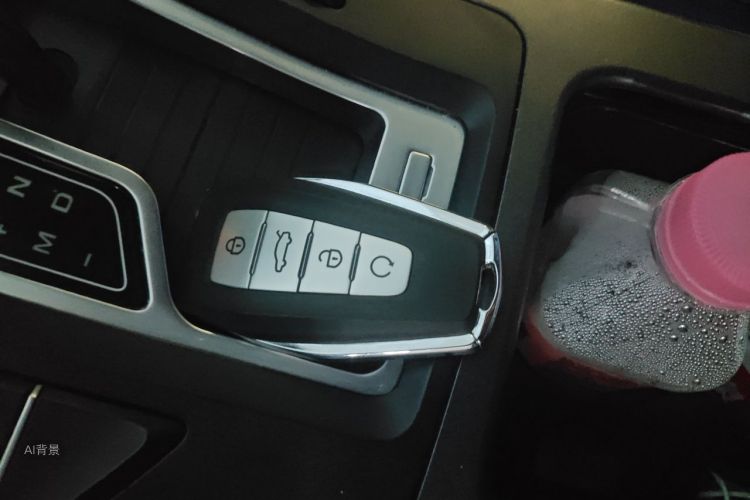 GEELY Emgrand GL 2021 car image #10