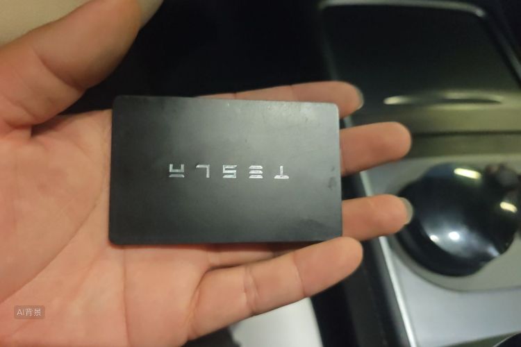 Tesla Model Y 2023 car image #10