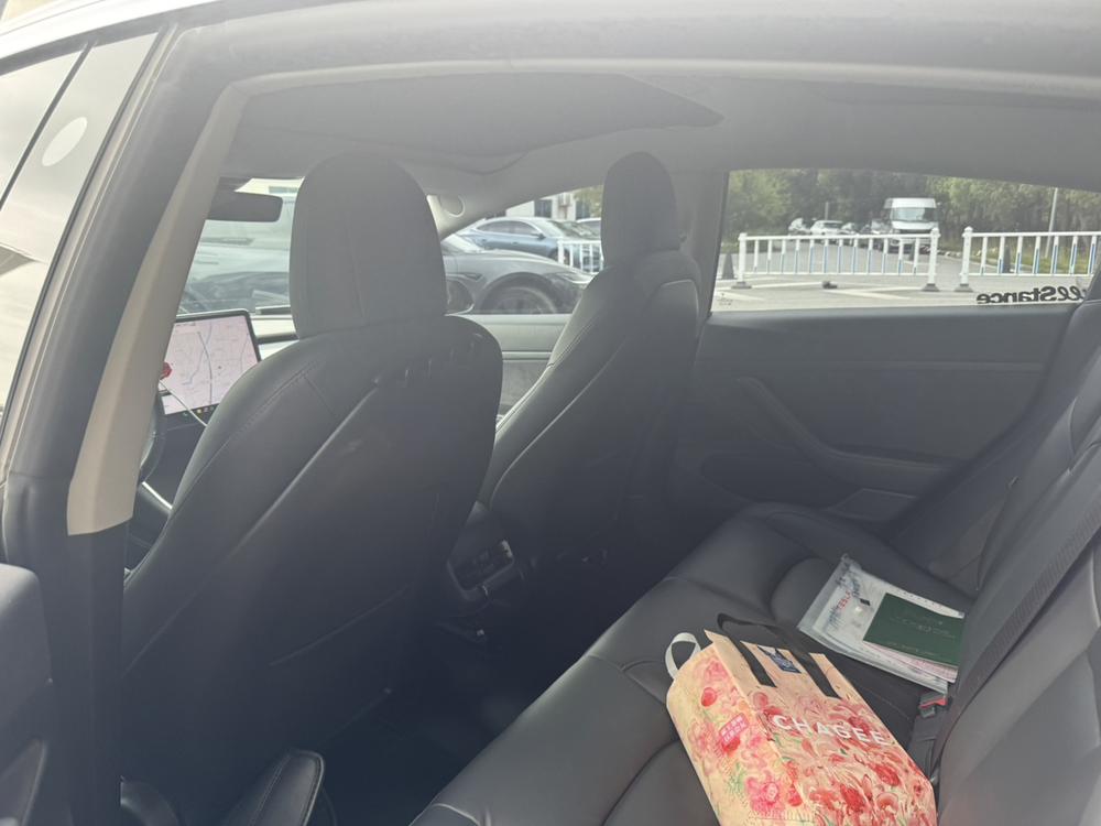 Tesla Model 3 2020 car image #8