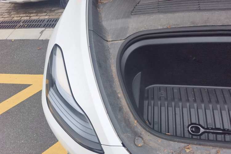 Tesla Model Y 2023 #23 Tesla Model Y 2023 car image #23