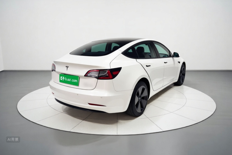 Tesla Model 3 2022 car image #7